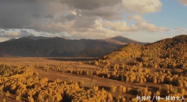 马云的“蚂蚁森林”已三年 竟将“死亡之海”变绿洲 网友：厉害了