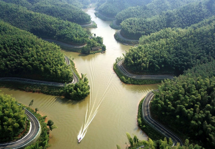 [森林旅游]贵州赤水竹海醉游人