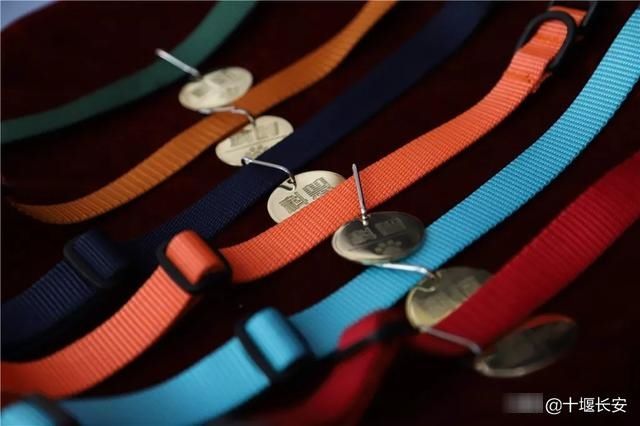  警犬：一大波超萌犬来啦！北京首批警用克隆犬正式上岗