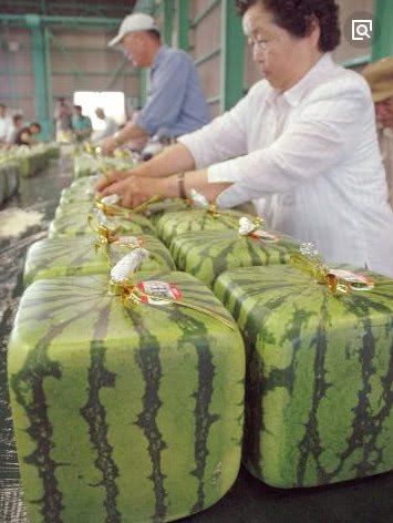 中国游客去日本玩，当地商家这么说中国人，游客回怼一句大快人心