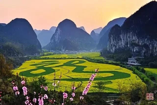 中国最美的油菜花海,油菜花逐渐“染黄”了神州大地