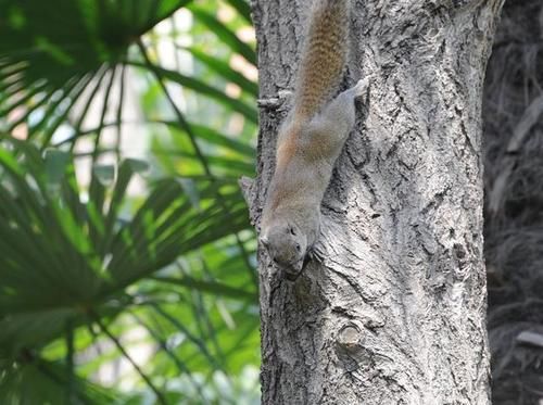 去公园的去公园