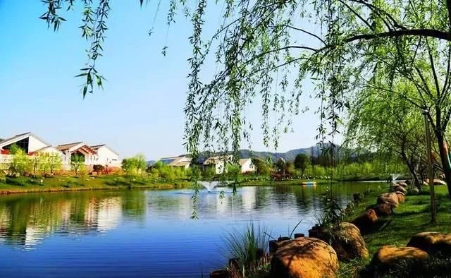 春天深呼吸,安吉来“氧”你!2020年三八女神节,可以来安吉旅游啦【2020热门旅游景点】
