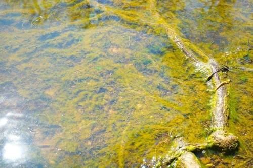  「吉安」江西这座城是希望之星，不是吉安也不是宜春，而是默默