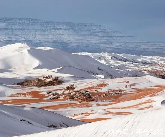 20张罕见的照片,忍不住分享下