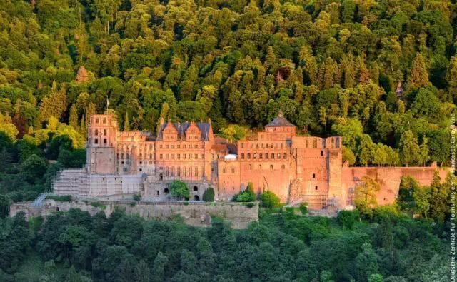  『中世纪』60几岁的古城堡之途为什么能一直维持“青春年少”？