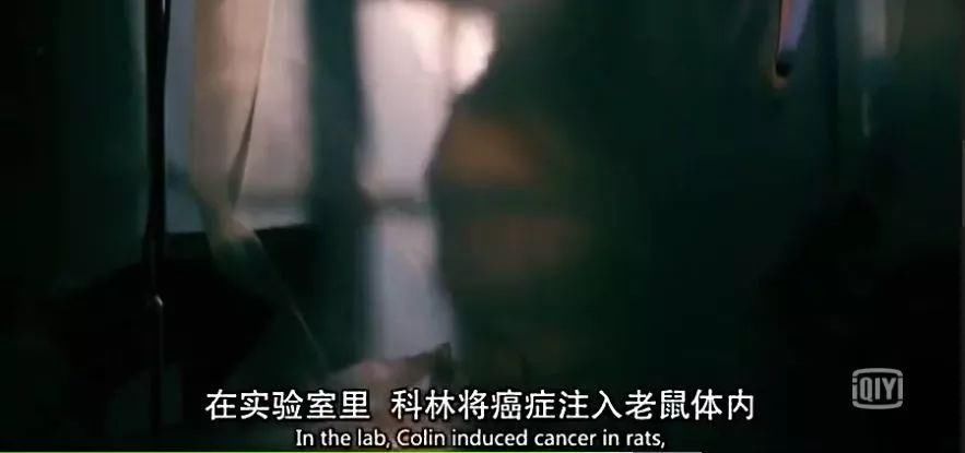 不吃肉就能瘦?BBC揭示健康饮食的真相，啪啪打脸无数网红