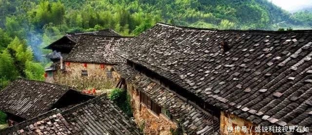 浙江、福建交界，有个300年秘境古村，仙人掌都长成了参天大树