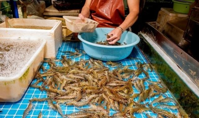 中国最令人意外的景点，分明是菜市场，却游客如云，就在海南福建