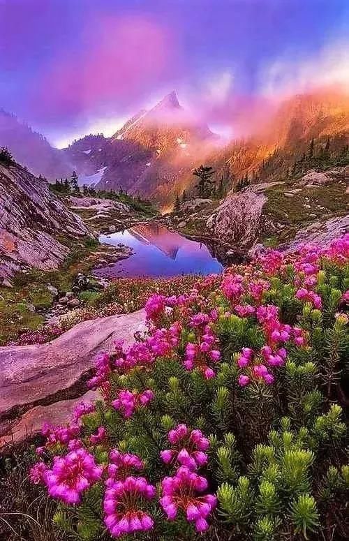 太壮观!这一辈子见一次值了!轰动世界!