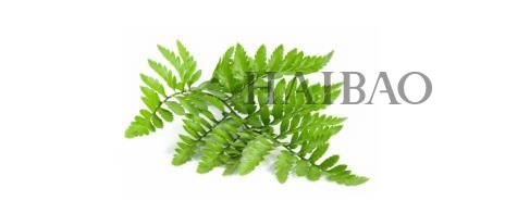 定制臻白无瑕肌，新西兰MitoQ(MitoQ)首款美白丸震撼发布!