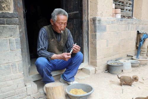 农民也能领退休金？每月可以领多少，看专家怎么说