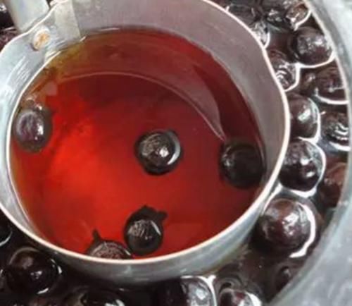 它被农民称为“水果之王”是药食两用的果子，如今野生的一株难求