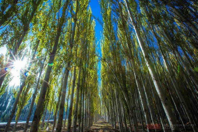 厉害了中国人!用33年时间，在新疆创造了人类历史的又一大奇迹