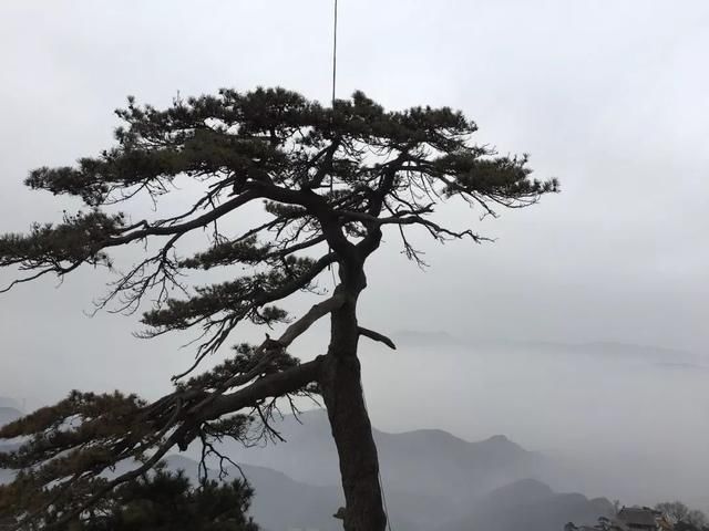 冬日纷纷的雨，悠远寂静的山！