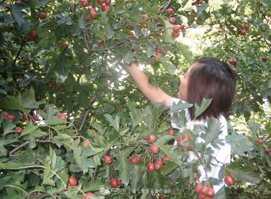 炎炎夏日，北京人的周末应该如何进山躲清凉?