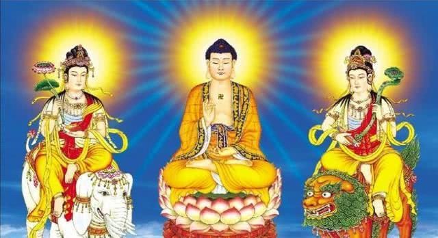 金刚经“以音声求我，不能见如来”和念佛矛盾吗，大安法师开示