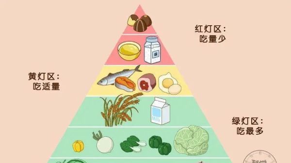 【灯食物】饮食小常识营养手册健康饮食
