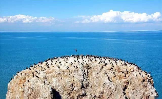 『青海』青海39个之最,不但在全国出名了,还有这么多世界级....