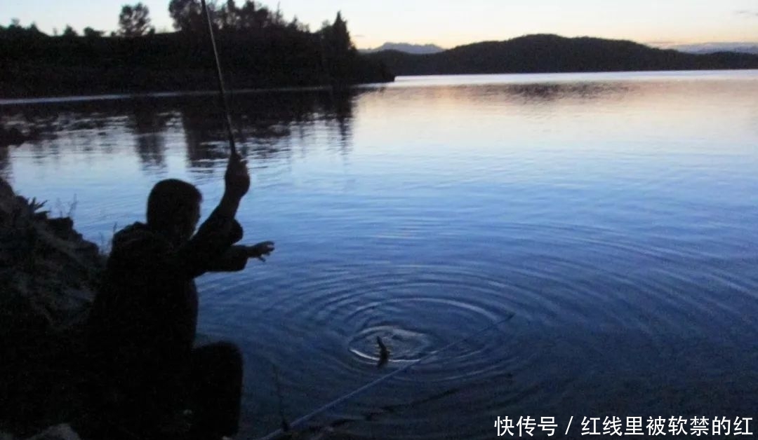 激流|夏季激流钓鱼,三种方法帮你轻松应对走水——盛世三渔