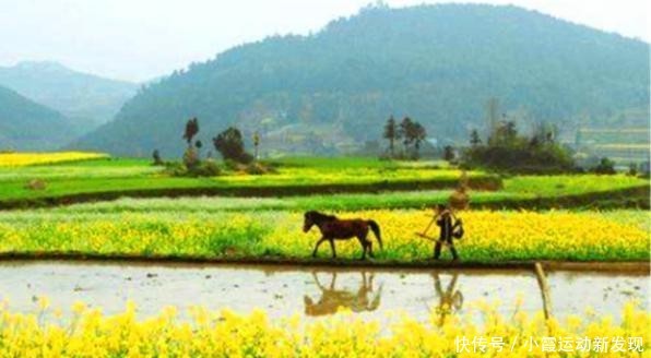  立春■俗语“春打五九尾，要饭跑断腿”，是啥意思？今年立春在