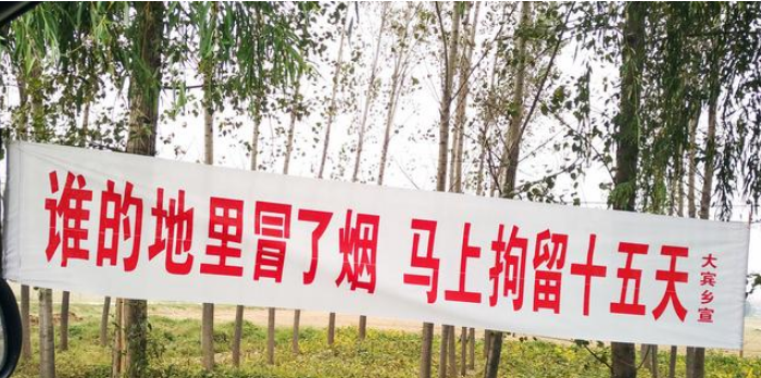  秸秆：秸秆“不烧”与“烧”之争未停，又出1新规，农民可能又要