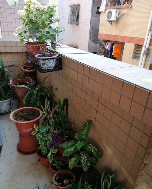 「设计」露天阳台大改造,简单的一设计,用来养花,这阳台朋友能羡慕死
