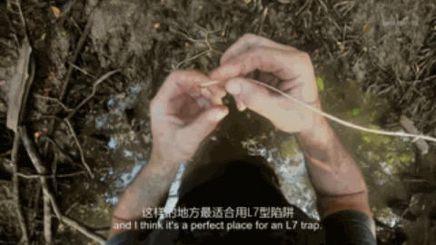 在蝎子和眼镜蛇横行之地，这位“现代鲁宾逊”吃的真香