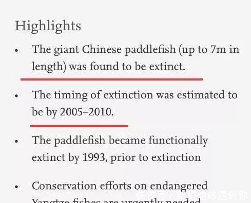  中华鲟|又一个物种灭绝，中国淡水鱼之王未能跨入2020……