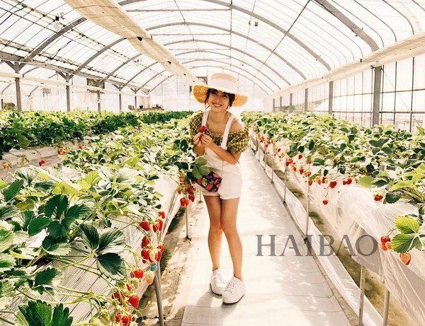 服气| 30+照样美若少女!离婚带娃的她凭啥能做"富豪杀手&quo