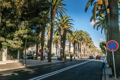 法国在非洲建立一座“欧洲城市”,穷人富人分开住,但经济发达