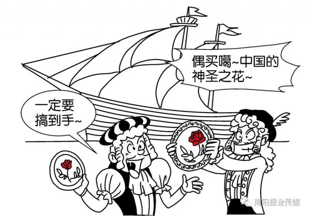  【玫瑰】哪有什么玫瑰？长哩美的都是月季！