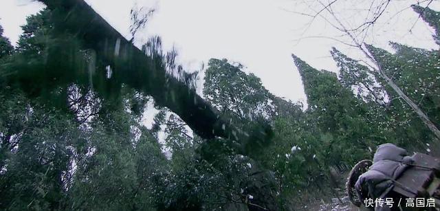 水浒传:青面兽杨志比林冲厉害多了,从这场战斗