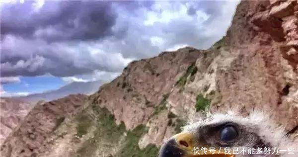 新疆80后小伙凭Iphone5s和一张照片 拿到全球iphone摄影总冠军