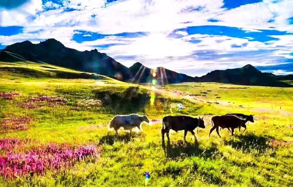 青海又一小众旅行地被发现，距茶卡盐湖仅1小时，低调得让人心疼