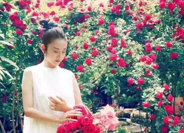  「精致」爱养花的女人，生活充满惊喜，家里处处都精致！