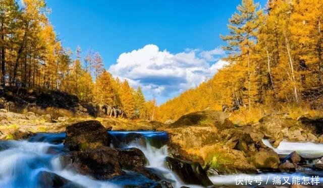 有一种美，叫阿尔山的秋