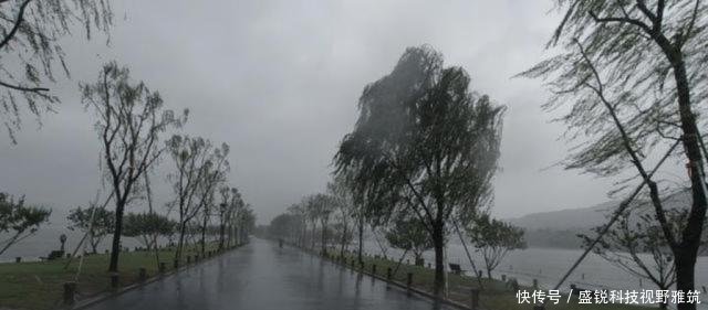 最强台风利奇马肆虐杭州,直击西湖边游客抗台,直呼路都不走稳