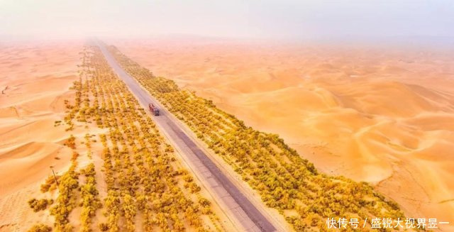 中国曾投资1个亿治理沙漠，种植上亿棵胡杨树，如今怎么样了