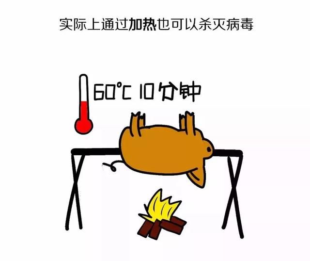 祸从口出！宜兴女子散布非洲猪瘟疫情谣言被传唤！猪肉可以吃