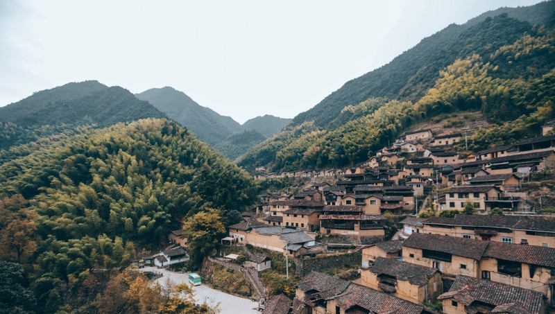 浙江最特殊的剧场，长在一片竹林中，非常原生态却美的超乎想象