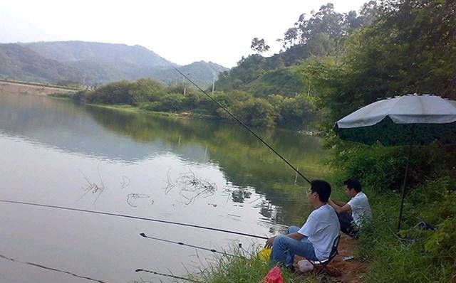  『季节的鱼』在夏天，当在野外捕鱼鲤鱼时，新手渔民掌握了这套秘密，只会钓到更多