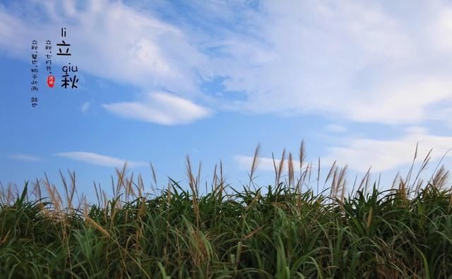 知道吗？今年是早上立秋，立秋早晚有说道？农村3句老谚语有答案