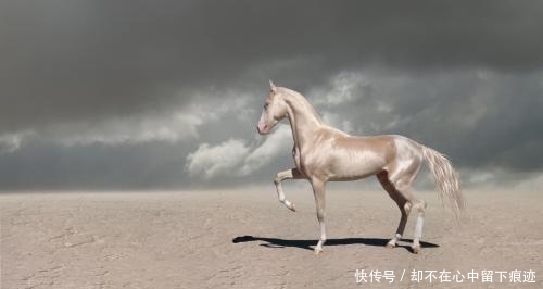 亚洲唯一的一个永久中立国,不用交水电费,汽油每升一毛钱左右