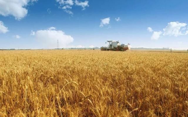 合作升级!俄罗斯拿250万英亩土地给中国承包解决中国一个大问题