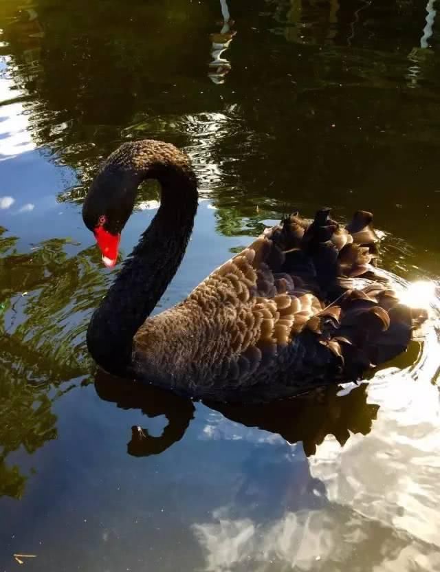 66岁大叔，8年时间打造出了中国最美私家花园，让人叹为观止！