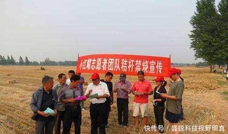  秸秆|推行秸秆就地还田，如今弊端显现，农民反问专家，损失由谁
