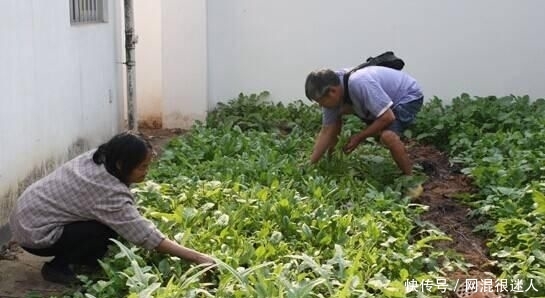  「家里」农村“不孝子”多？这3种农民，能不能挣钱，都受欢迎，但愿有你