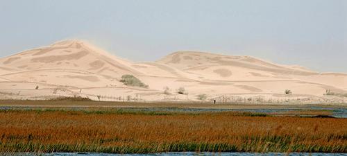 致敬中国“治沙人”：30年种8亿棵树，拯救了沙漠附近10万居民！