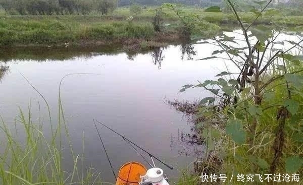 饵料的好与|野钓鲫鱼,饵料使用不是随意的,有规律可循!